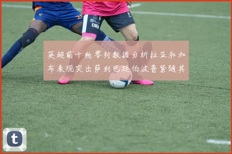 英超前十轮零封数据分析拉亚和加布表现突出萨利巴廷伯波普紧随其后