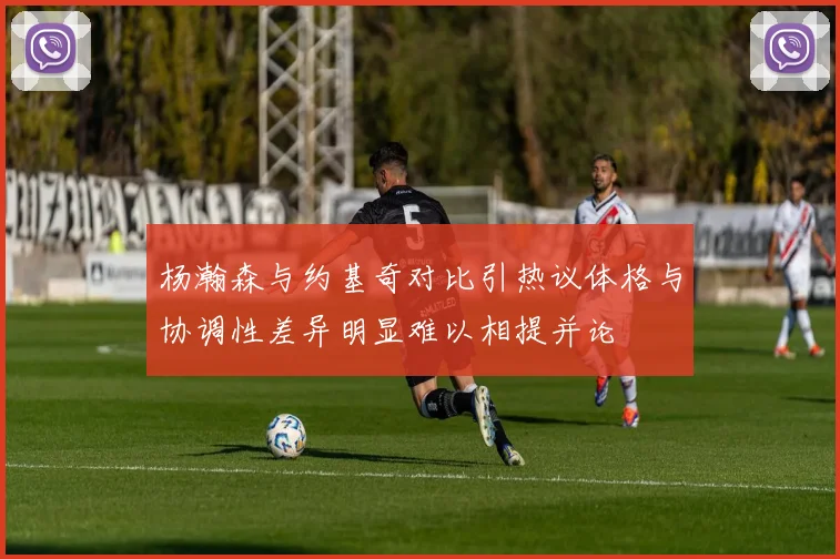杨瀚森与约基奇对比引热议体格与协调性差异明显难以相提并论