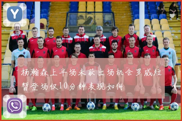 杨瀚森上半场未获出场机会罗威短暂登场仅10分钟表现如何