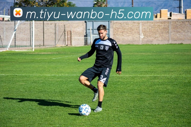 多媒体互动体验