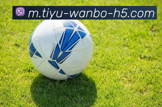 万博体育APP 高清赛事图